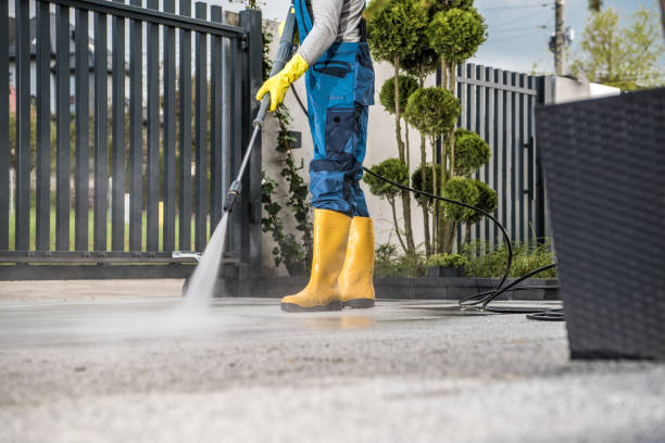 Best Pressure Washing Patio  in Centreville, AL